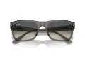 Ray-Ban RB 4428 667571 56 Férfi, Női napszemüveg