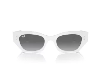Ray-Ban Zena RB 4430 675911 49 Férfi, Női napszemüveg