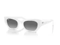 Ray-Ban Zena RB 4430 675911 52 Férfi, Női napszemüveg
