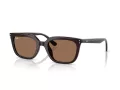 Ray-Ban RB 4439D 623173 54 Férfi, Női napszemüveg