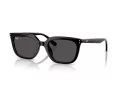 Ray-Ban RB 4439D 901/87 54 Férfi, Női napszemüveg