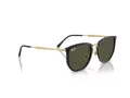 Ray-Ban RB 4451 630631 53 Férfi, Női napszemüveg