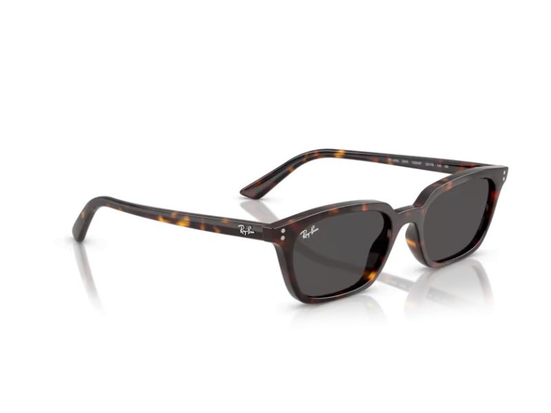 Ray-Ban Zaya RB 4456 135987 50 Férfi, Női napszemüveg