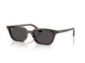 Ray-Ban Zaya RB 4456 135987 53 Férfi, Női napszemüveg