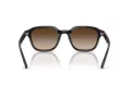 Ray-Ban RB 4458D 714/13 65 Férfi, Női napszemüveg