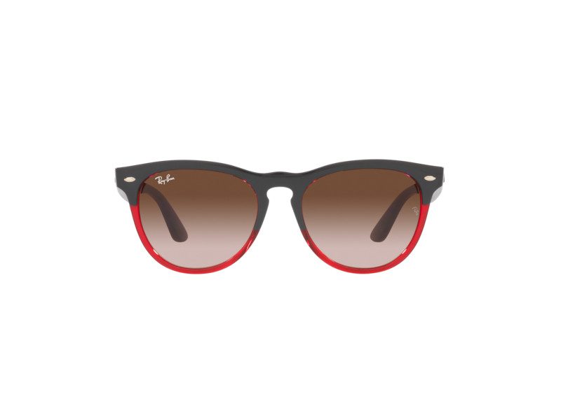 Ray-Ban Iris RB 4471 6631/13 54 Férfi, Női napszemüveg