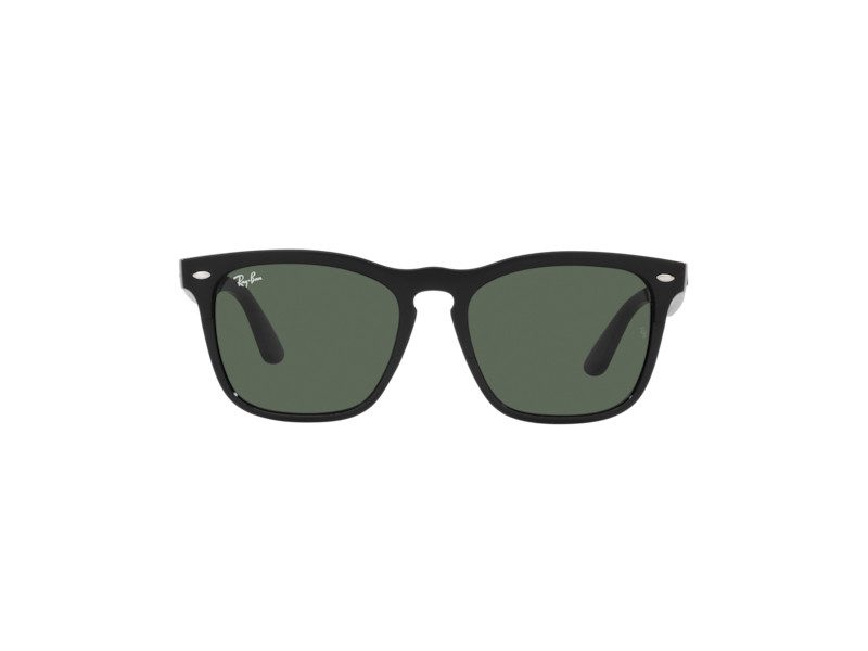 Ray-Ban Steve RB 4487 6629/71 54 Férfi, Női napszemüveg