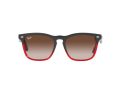 Ray-Ban Steve RB 4487 663113 54 Férfi, Női napszemüveg
