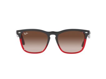 Ray-Ban Steve RB 4487 663113 54 Férfi, Női napszemüveg