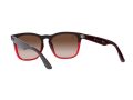 Ray-Ban Steve RB 4487 663113 54 Férfi, Női napszemüveg
