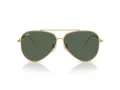 Ray-Ban Aviator Reverse RB R0101S 001/VR 59 Férfi, Női napszemüveg