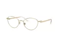 Swarovski SK 1002 4004 53 Női szemüvegkeret (optikai keret)