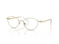 Swarovski SK 1002 4004 53 Női szemüvegkeret (optikai keret)