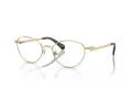 Swarovski SK 1002 4013 53 Női szemüvegkeret (optikai keret)