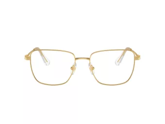   Swarovski SK 1003 4004 55 Női szemüvegkeret (optikai keret)