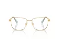 Swarovski SK 1003 4021 53 Női szemüvegkeret (optikai keret)