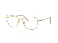 Swarovski SK 1003 4021 55 Női szemüvegkeret (optikai keret)