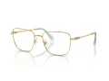 Swarovski SK 1003 4021 55 Női szemüvegkeret (optikai keret)