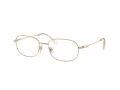Swarovski SK 1005 4013 54 Női szemüvegkeret (optikai keret)