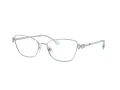 Swarovski SK 1006 4020 53 Női szemüvegkeret (optikai keret)
