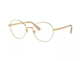 Swarovski SK 1013 4004 54 Női szemüvegkeret (optikai keret)