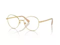 Swarovski SK 1013 4004 54 Női szemüvegkeret (optikai keret)