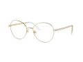 Swarovski SK 1013 4013 54 Női szemüvegkeret (optikai keret)