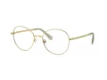 Swarovski SK 1013 4017 52 Női szemüvegkeret (optikai keret)