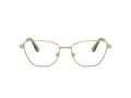 Swarovski SK 1018 4017 53 Női szemüvegkeret (optikai keret)