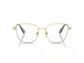 Swarovski SK 1019 4021 52 Női szemüvegkeret (optikai keret)