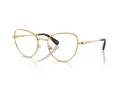 Swarovski SK 1022 4004 54 Női szemüvegkeret (optikai keret)