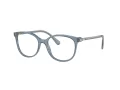 Swarovski SK 2002 1035 53 Női szemüvegkeret (optikai keret)