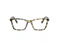 Swarovski SK 2015 1009 53 Női szemüvegkeret (optikai keret)