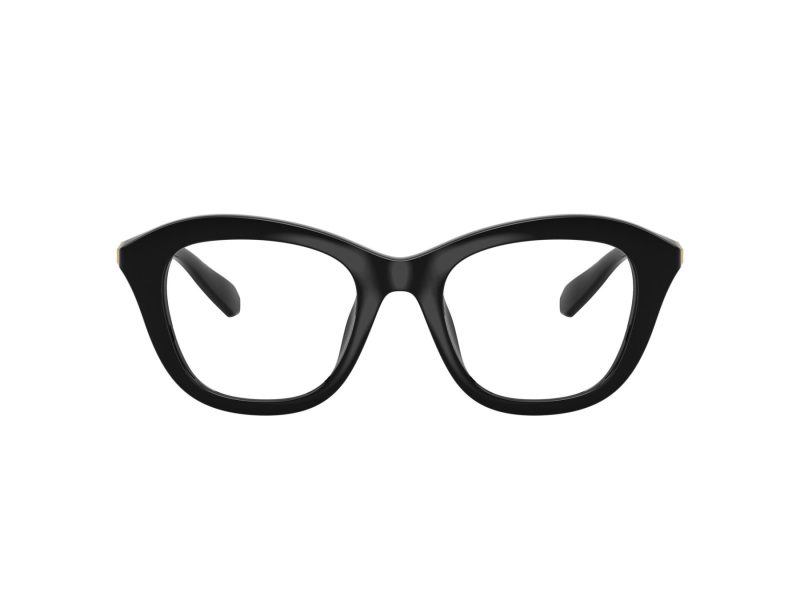 Swarovski SK 2042U 1001 48 Női szemüvegkeret (optikai keret)