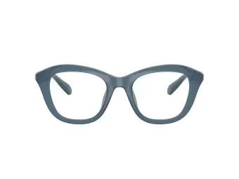   Swarovski SK 2042U 1035 48 Női szemüvegkeret (optikai keret)