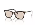 Swarovski SK 6004 1002M4 55 Női napszemüveg