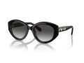 Swarovski SK 6005 10018G 53 Női napszemüveg