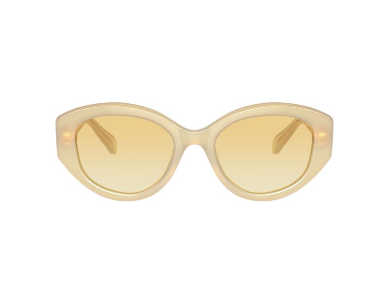 Swarovski SK 6005 10232Q 53 Női napszemüveg