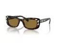 Swarovski SK 6008 100273 54 Női napszemüveg