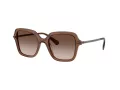 Swarovski SK 6040 106713 50 Női napszemüveg