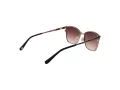 Ted Baker TB 1563 004 53 Női napszemüveg