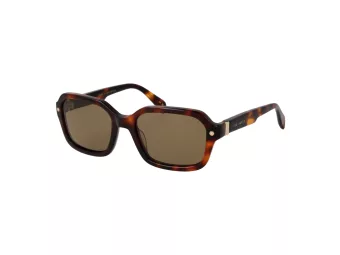 Ted Baker TB 1697 101 55 Férfi napszemüveg