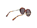 Ted Baker TB 1731 188 54 Női napszemüveg