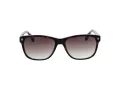 Ted Baker TB 1753 119 58 Férfi napszemüveg