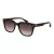 Ted Baker TB 1754 119 54 Férfi napszemüveg