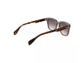 Ted Baker TB 1754 119 54 Férfi napszemüveg