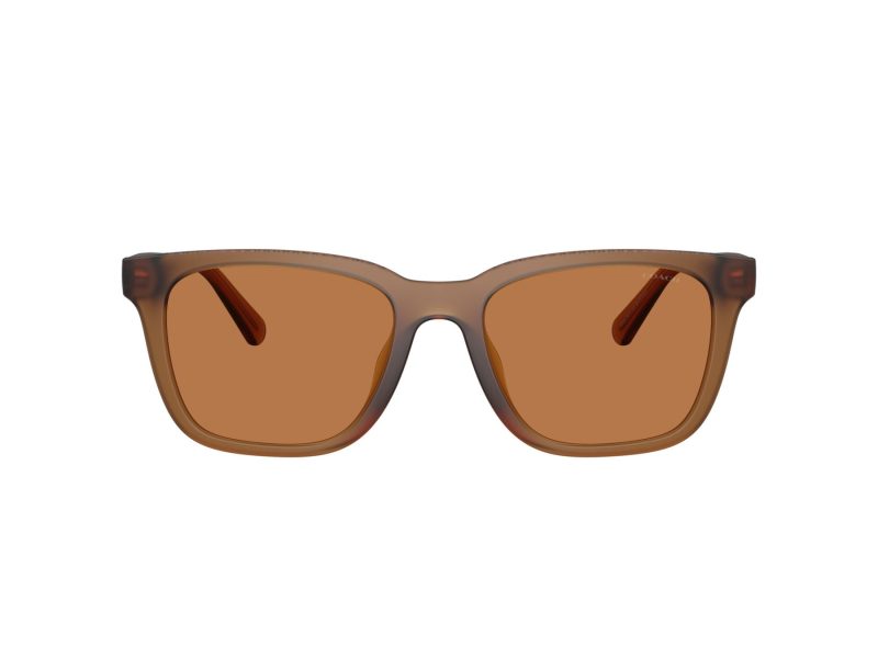 Coach Cad81 HC 8426U 587673 54 Férfi napszemüveg